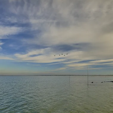 Baie de Bourgneuf