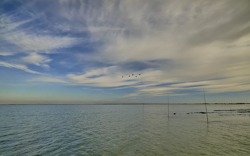 Baie de Bourgneuf