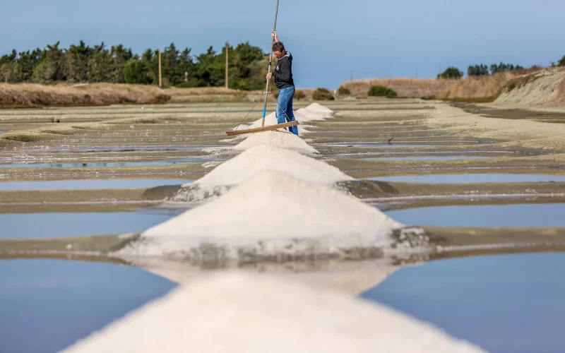 Sel et marais salants